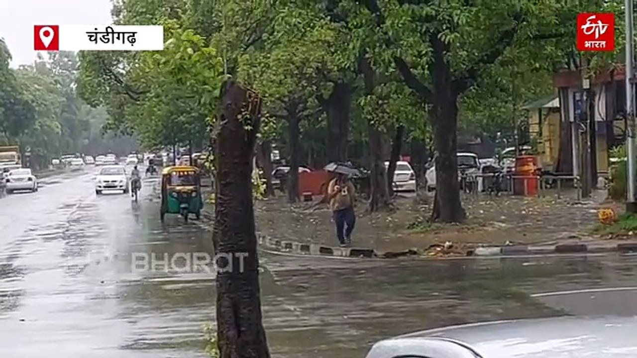 हरियाणा में बारिश और आंधी की तबाही! ओलावृष्टि से फसलों को नुकसान, कई जिलों में पेड़ और खंभे गिरे, जानें आज के मौसम का हाल