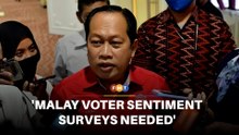 We need surveys to gauge Malay voter sentiment, says Umno leader