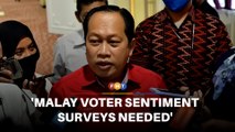 We need surveys to gauge Malay voter sentiment, says Umno leader