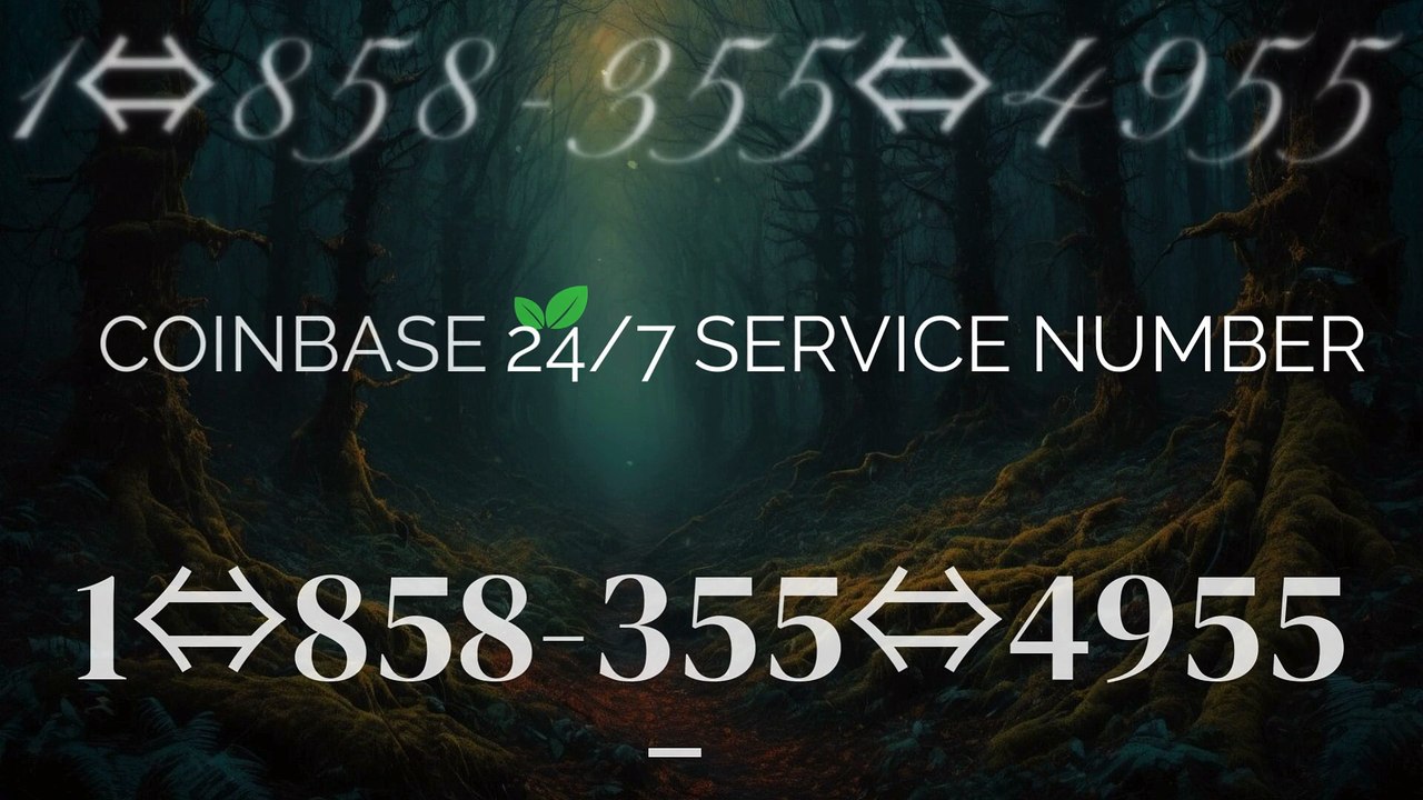 1⇔858-355⇔4955