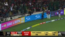 RCB vs GT IPL 2023 Highlights: Virat Kohli's Back-to-Back Century vs Shubman Gill's / media sportpulsedaily