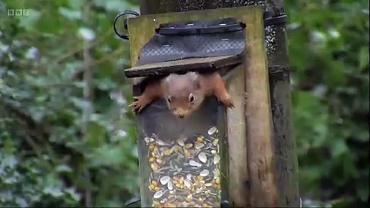 Winter 2026 episode 4