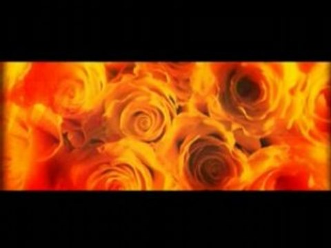 Koh Phangan, Thailand