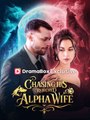 Chasing His Rejected Alpha Wife