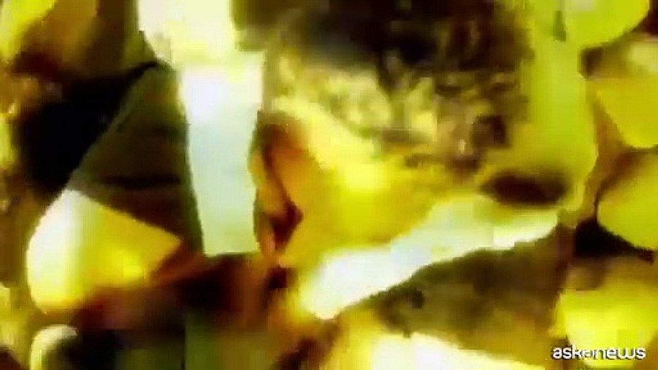 L'inaspettata reunion dei C.S.I, tour e film sulla band 25 anni dopo
