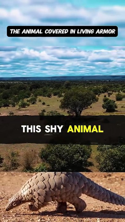 The Animal Covered in Living Armor