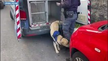 Il video della polizia sul rinvenimento di un ordigno rudimentale nel quartiere San Cristoforo: in azione la polizia