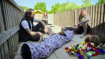 Pete Wicks: For Dogs' Sake - Season 3 Episode 2 - Nugget, Tetley and the Police Pups