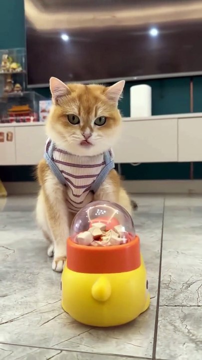 🦆 Bored dog? make mealtime a game! this cartoon duck puzzle feeder turns treats into fun 🧠🐶