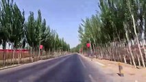 driving Shache Xinjiang to Kashgar Xinjiang