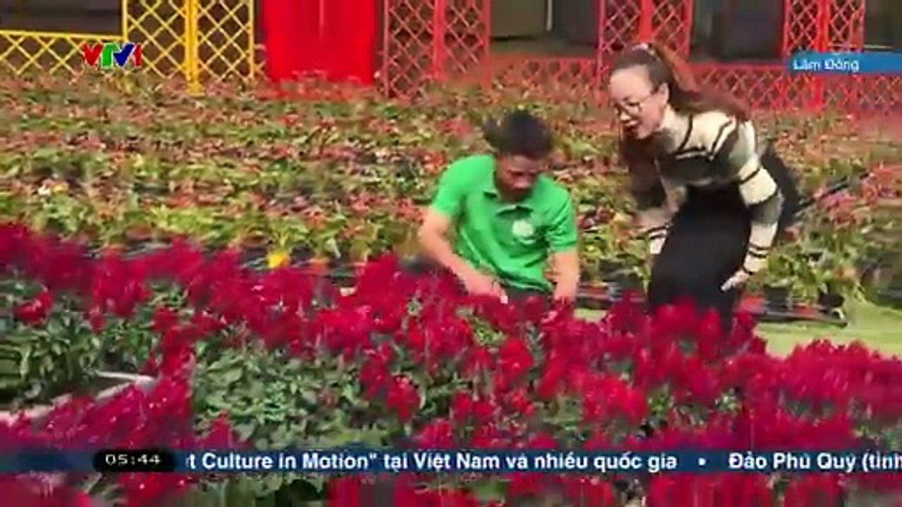 Chào buổi sáng 17-1-2026 - VTVgo