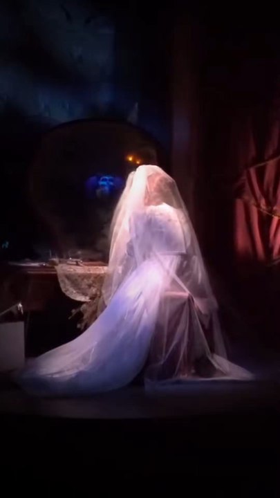 5 secrets sur l'attraction Phantom Manor !