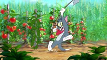 Tom and Jerry Tales S02E07 Summer Squashing  League of Cats  Little Big Mouse
