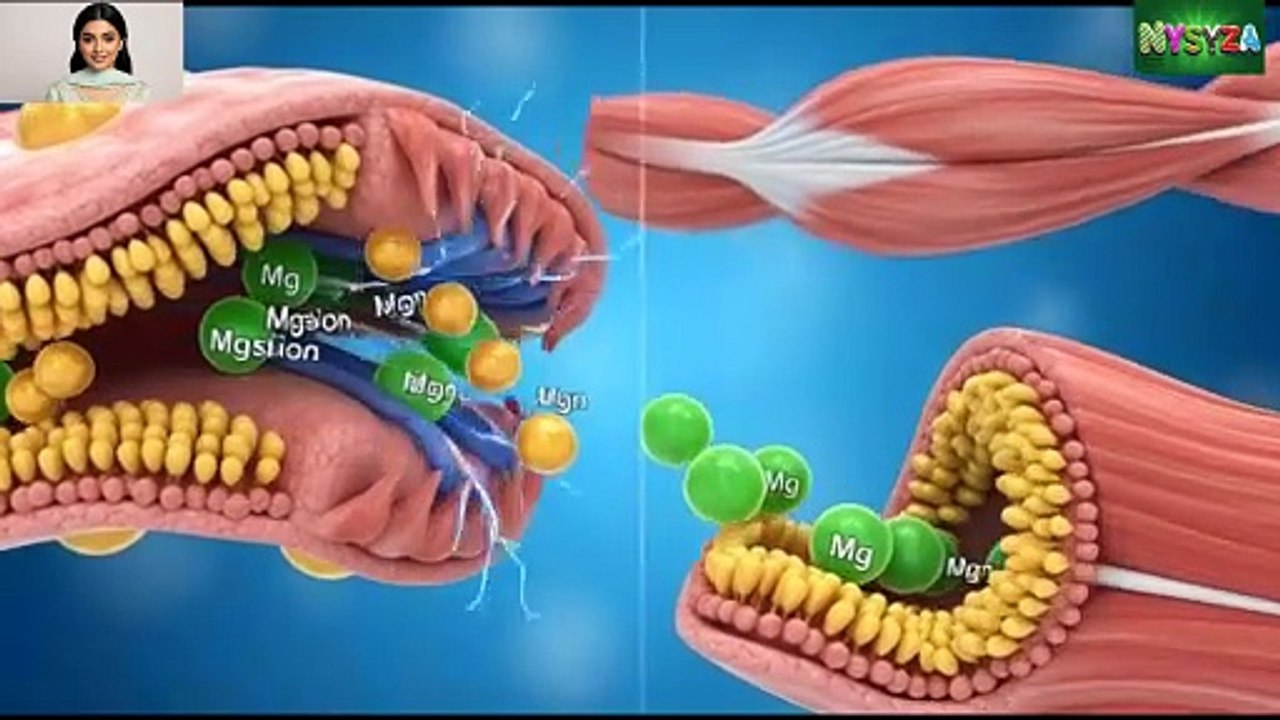 Chalghozay Khane Ka Ye Side Effect 99% Log Nahi Jantay | Pine Nuts Medical Truth