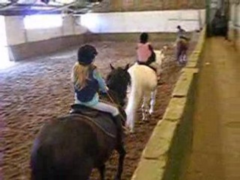 16-04-2008 3 jeunes cavalières au manège