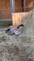 Between straw and 