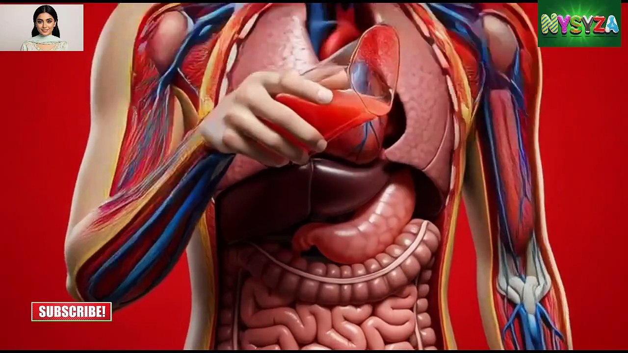 Grapefruit Ka Jism Par Asar: 3D Animation Se Dekhiye Faide Aur Nuksaan | Internal Journey