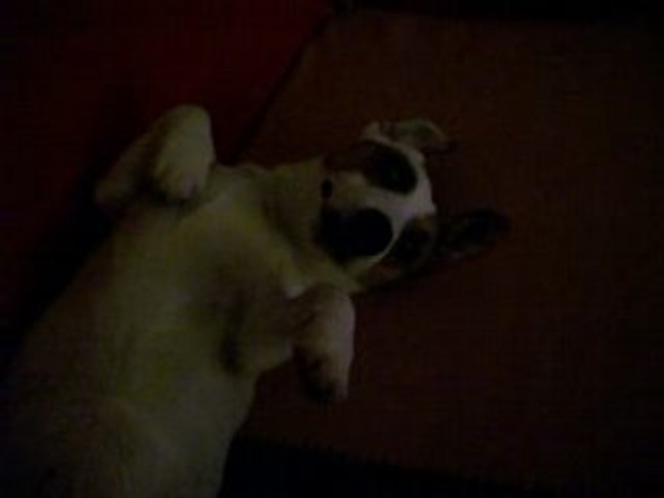 Dodo Chufi
