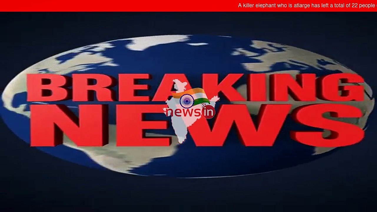 Breaking News: A killer elephant who is atlarge has left a total ...