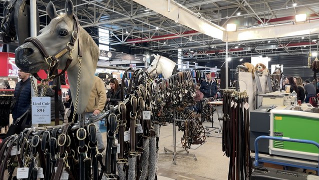 Découvrez Cheval Expo , le premier salon équestre de Metz