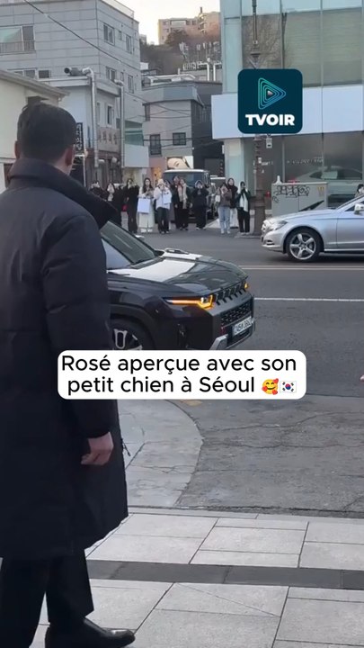 Quand Rosé décide de promener son chien dans Séoul ! 🐕📸