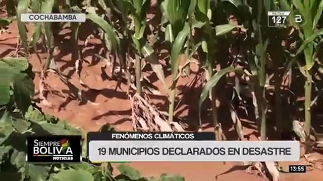 Defensa Civil gestiona ayuda para 19 municipios declarados en desastre por fenómenos climáticos