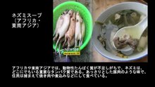 【豆知識】世界ゲテモノスープ 10品　【Trivia News】10 of the World's Strangest Soups