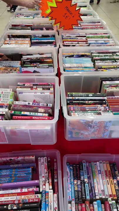 Passage au Bazar du Manga de Saint Maur des Fossés