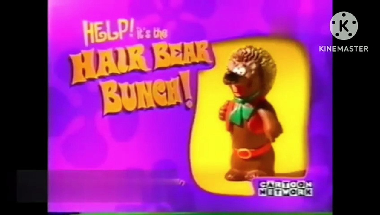 Boomerang (USA) Bumpers: Help It's The Hair Bear Bunch