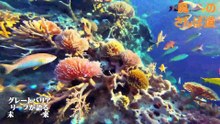 （たおやかインターネット放送)風の散歩道青の楽園 グレートバリアリーフが語る未来The Blue Paradise: The Great Barrier Reef Speaks of the Future