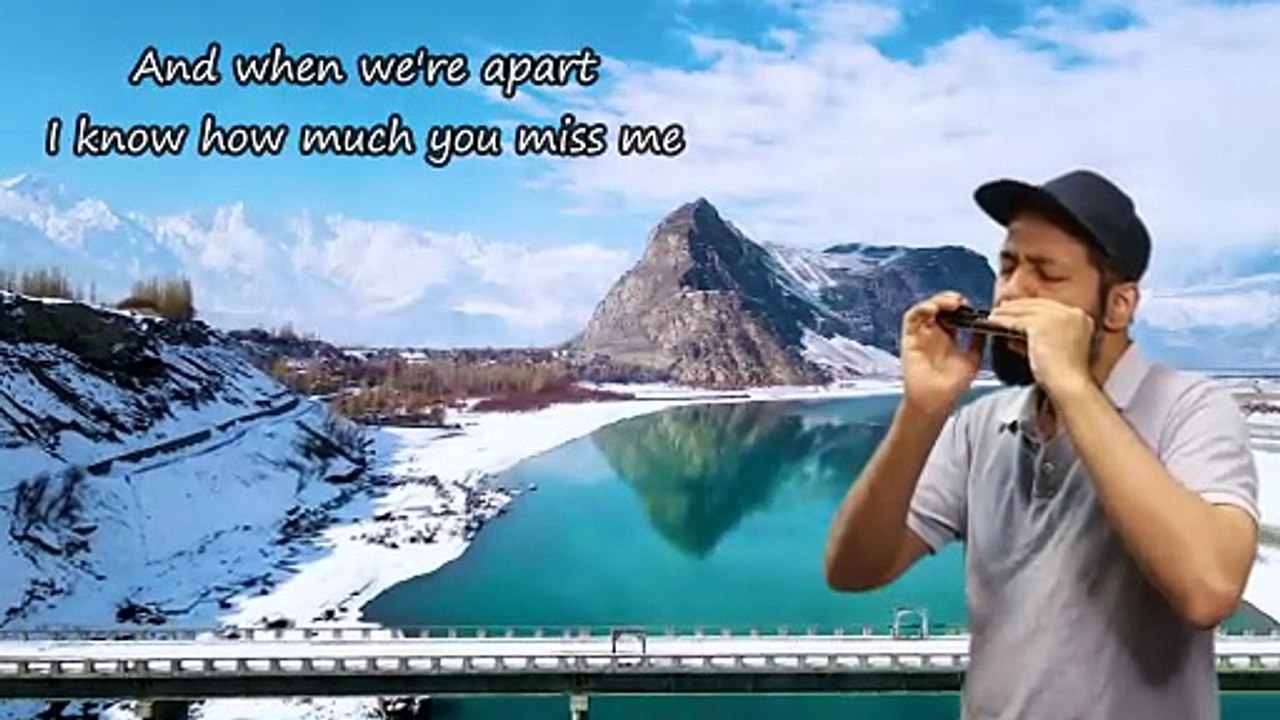 Forever And For Always - Shania Twain ( Harmoinca Cover)