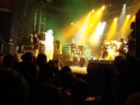 Dub Incorporation Métissage à l'Elysee Montmartre 2008