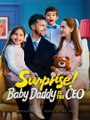 Surprise! Baby Daddy Is The CEO – Full HD Movie