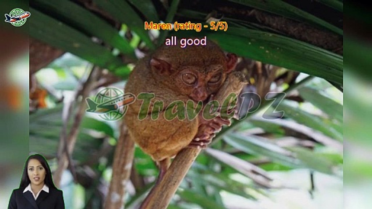 「TravelPZ」 Review Bohol Tagbilaran Pier to Panglao Island/ Tagbilaran City Shared Shuttle Transfer | Philippines