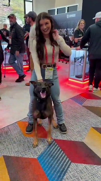 Can I pet this dog