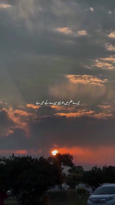 islamic short video islamic quotes