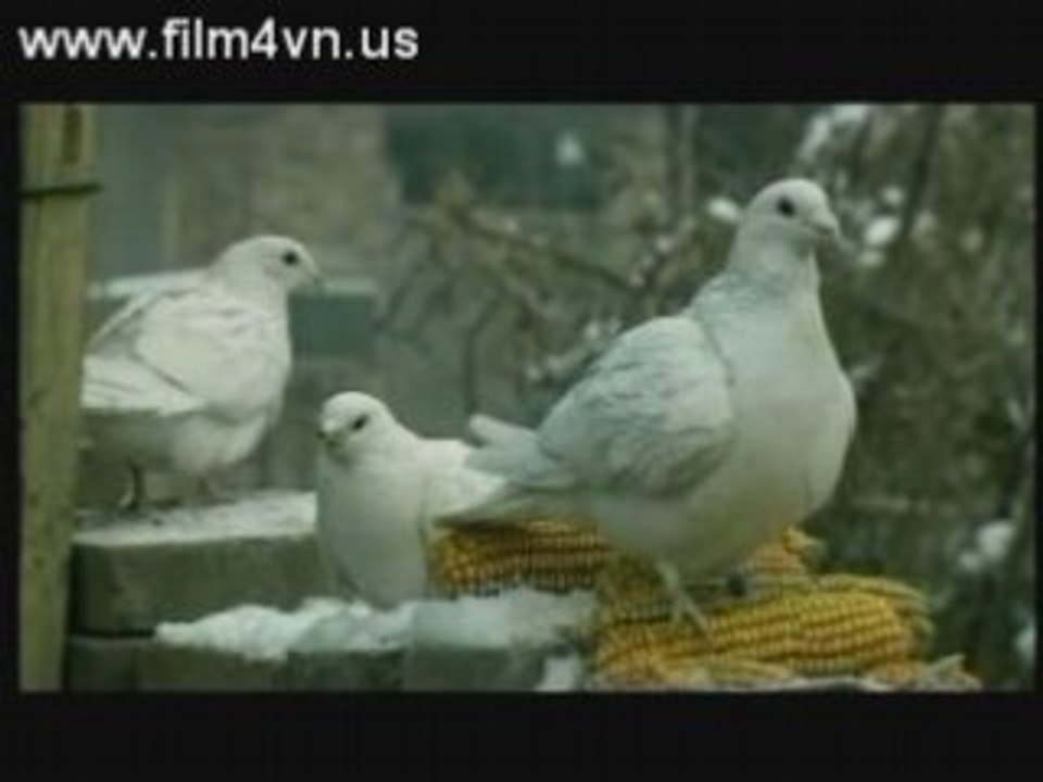 Film4vn.us-LenNhamXe-18.00