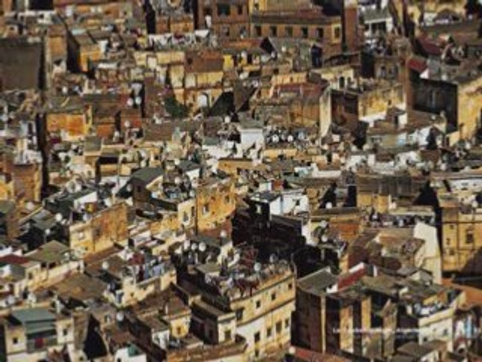 Algérie (Pour Toujours)