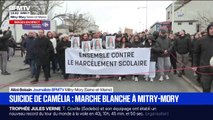 Suicide d'une lycéenne en Seine-et-Marne: une marche blanche organisée en hommage à Camélia