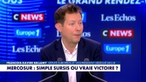 François-Xavier Bellamy : «Notre premier devoir est de retrouver notre capacité, à produire»