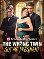 The Wrong Twin Got Me Pregnant