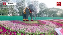 નવસારીના ભવ્ય ફ્લાવર શોનું આયોજન, 95,000થી વધુ ફૂલોથી શહેરનું નામ લખાયું, ગિનીસ વર્લ્ડ રેકોર્ડ નોંધાયો