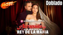 Atrapada en los brazos del rey dela mafia（doblado）