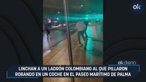 Linchan a un ladrón colombiano al que pillaron robando en un coche en el Paseo Marítimo de Palma