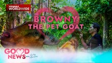 Kambing na Itinuturing na Furbaby, Viral Online! | Good News