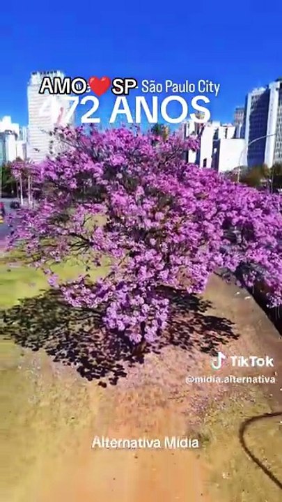 Parabéns São Paulo