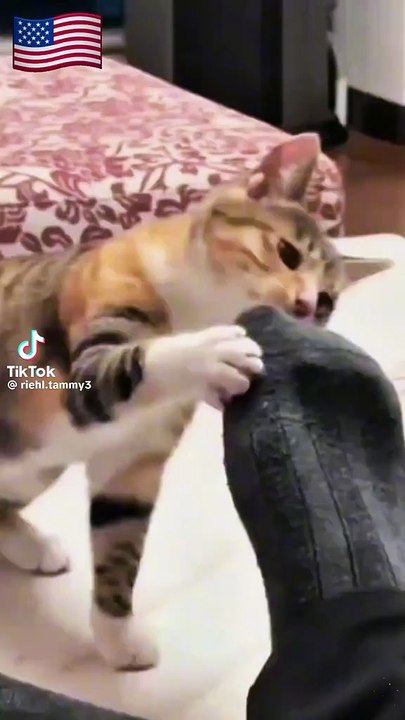 Wenn die Indianer stinken