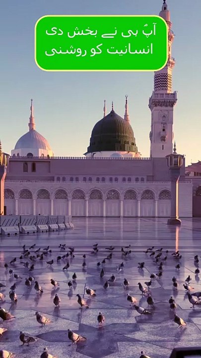 آپؐ ہی نے بخش دی انسانیت کو روشنی | Heart-Touching Naat Status| #naat #shorts