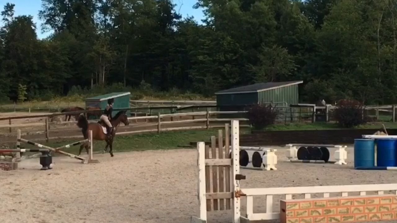 Horse-riding fail moment shows rider and her horse tumbling after a jump attempt