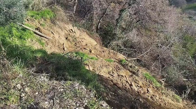 Image from field_mediaid